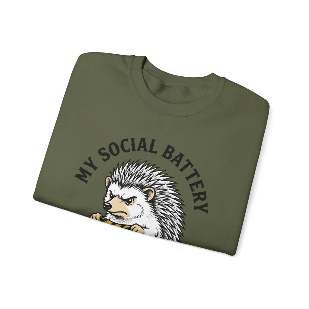 Mad Porcupine Sweatshirt Funny Wildlife Gift Women Comic Sweatshirt Porcupine Sweatshirt Humor Fan Cartoon Sweatshirt Animal Graphic Retro Patterned Necktie