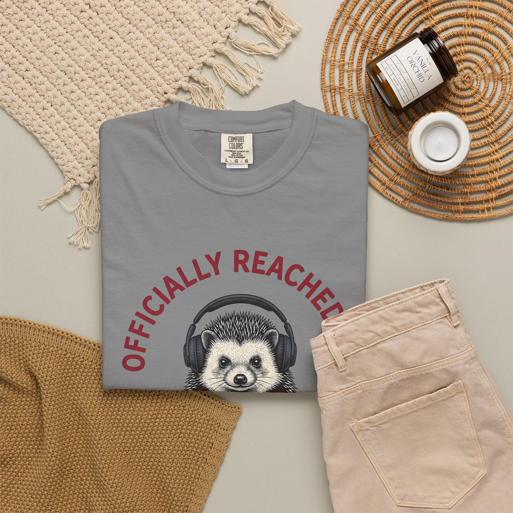 Hedgehog Headphones T-Shirt Moms Animal Gift Women Quirky T-Shirt Earphones T-Shirt Mother Fan Earbud Graphic Retro T-Shirt Vintage T-Shirt T-Shirt