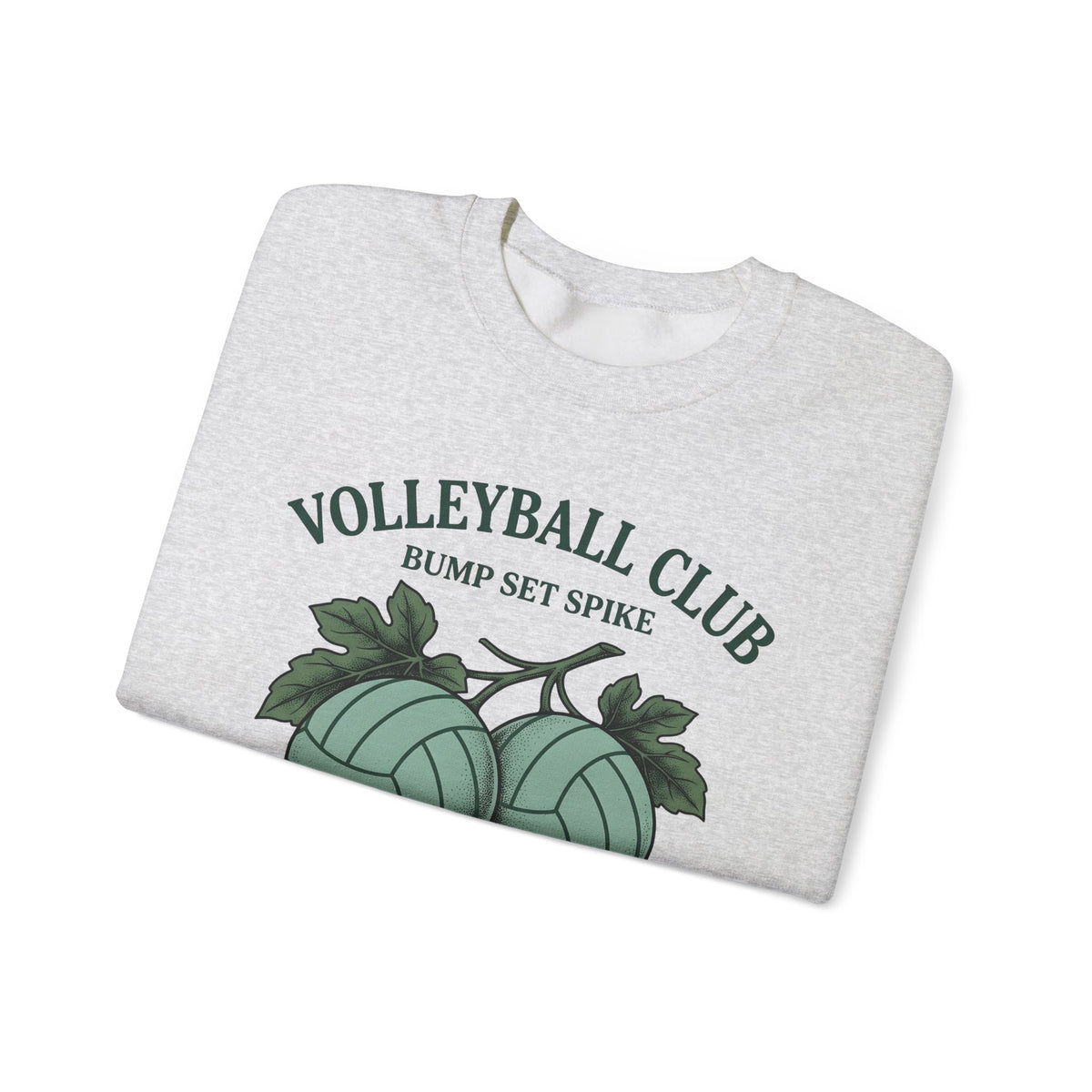 Volleyballs Sweatshirt Volleyball Crew Gift Women Sketch Sweatshirt Beachball Sweatshirt Volleyball Fan Volleyball Drawing Graphic Sweatshirt Line Art Whistles