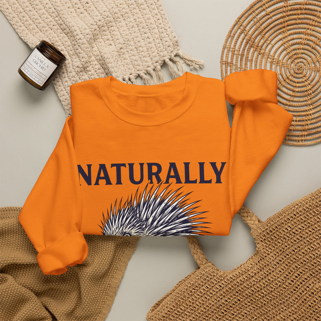 Porcupine Sweatshirt Animal Pun Humor Gift Women Hand Drawn Sweatshirt Hedgehog Sweatshirt Pun Fan Hand Drawn Sweatshirt Funny Graphic Vintage Quills Sweatshirt