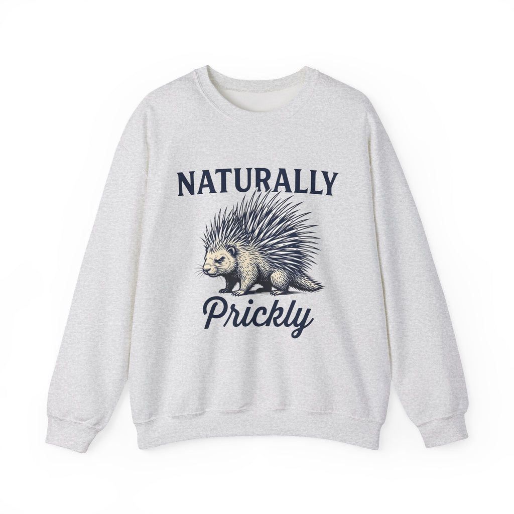 Porcupine Sweatshirt Animal Pun Humor Gift Women Hand Drawn Sweatshirt Hedgehog Sweatshirt Pun Fan Hand Drawn Sweatshirt Funny Graphic Vintage Quills Sweatshirt