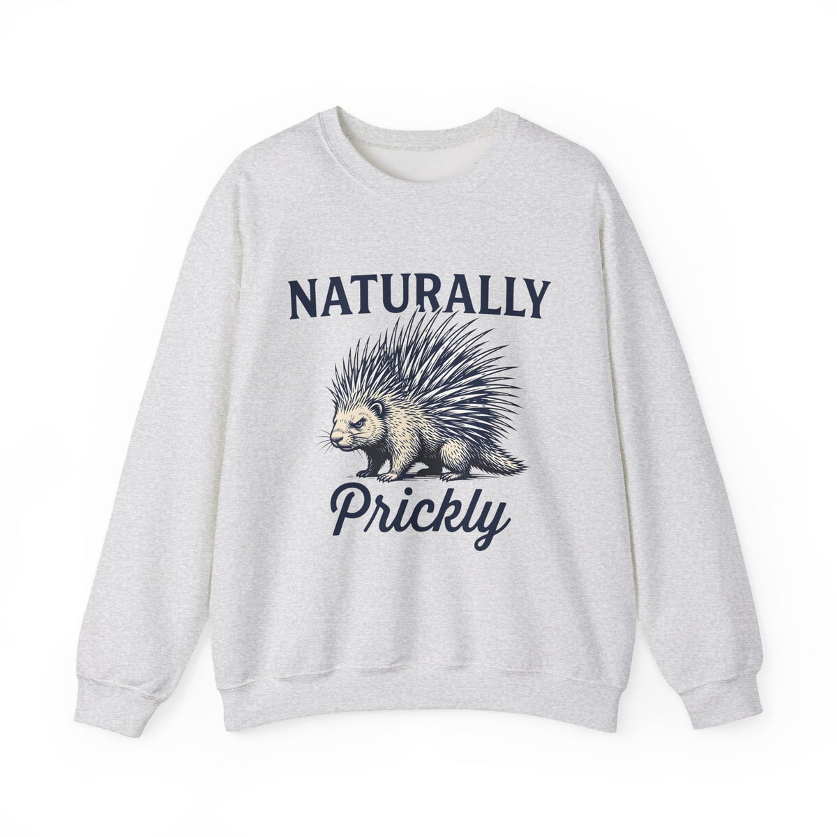 Porcupine Sweatshirt Animal Pun Humor Gift Women Hand Drawn Sweatshirt Hedgehog Sweatshirt Pun Fan Hand Drawn Sweatshirt Funny Graphic Vintage Quills Sweatshirt