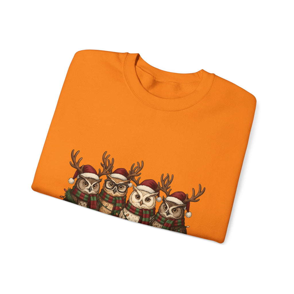 Owl Pack Sweatshirt Christmas Pets Gift Women Line Art Sweatshirt Owl Sweatshirt Xmas Fan Owl Hoot Graphic Illustration Led Lights Sweatshirt