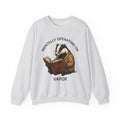 Badger Pullover Sweatshirt Funny Wildlife Gift Women Sketch Sweatshirt Badger Sweatshirt Humor Fan Drawing Graphic Retro Novel Sweatshirt