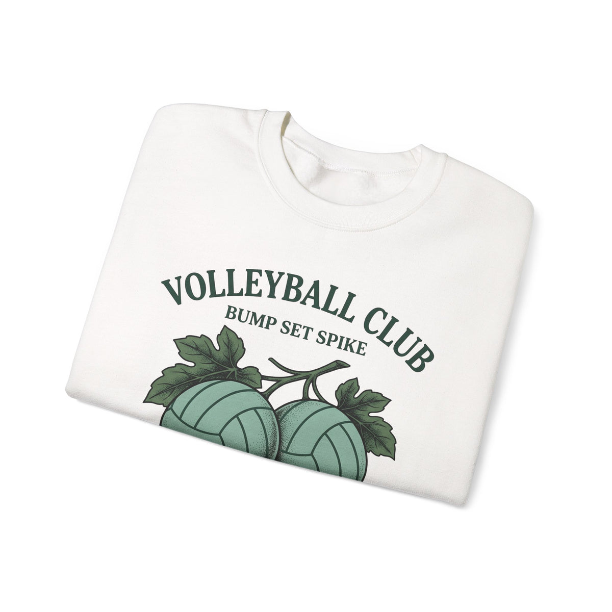 Volleyballs Sweatshirt Volleyball Crew Gift Women Sketch Sweatshirt Beachball Sweatshirt Volleyball Fan Volleyball Drawing Graphic Sweatshirt Line Art Whistles