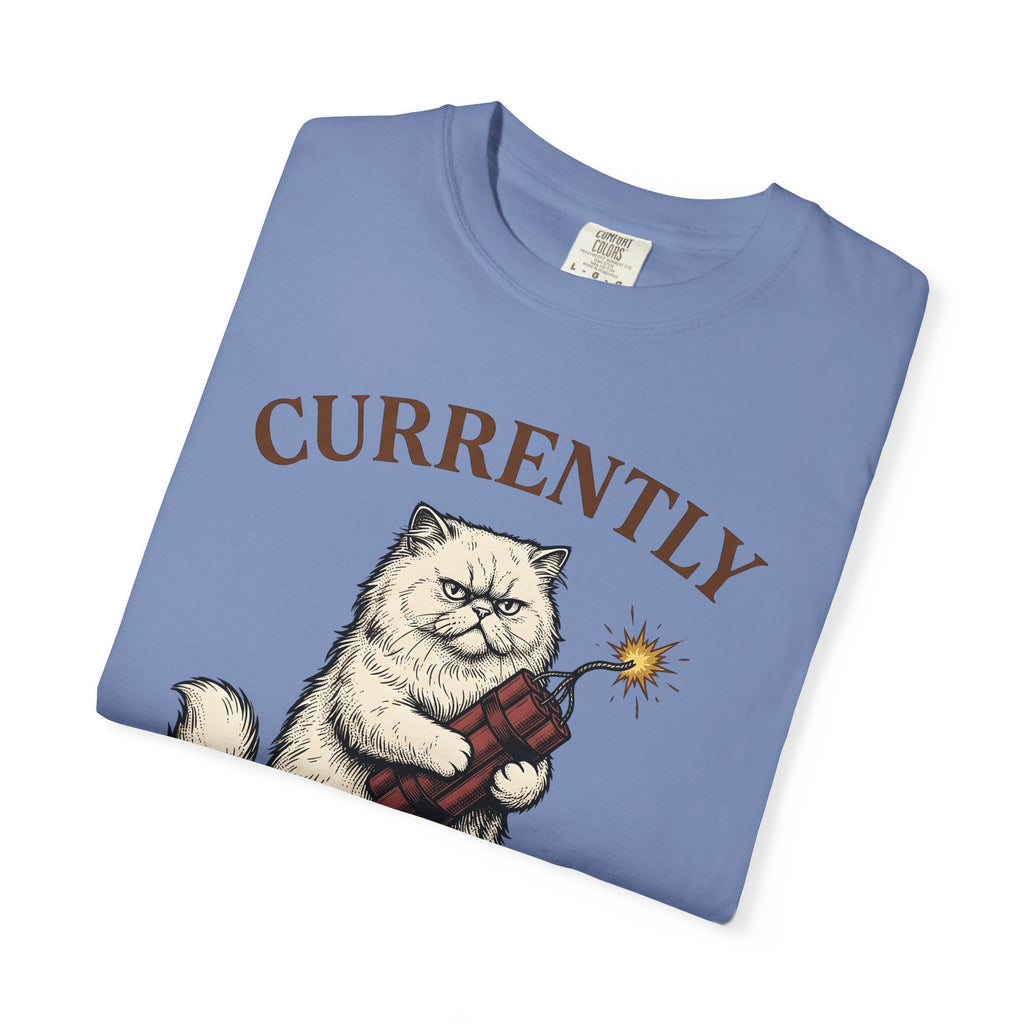 Upset Cat T-Shirt Funny Wildlife Gift Women Old School T-Shirt Angry Cat T-Shirt Humor Fan Vintage T-Shirt Animal Graphic Doodle Explosion T-Shirt