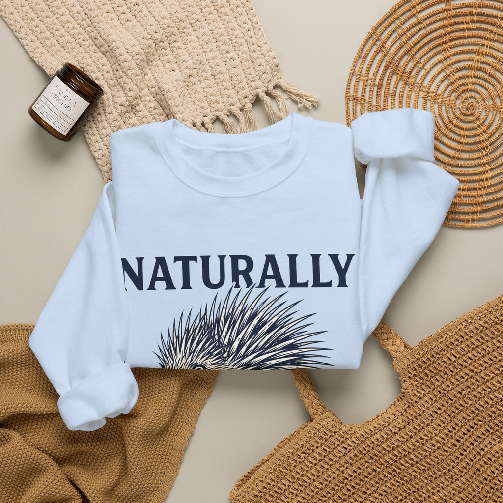 Porcupine Sweatshirt Animal Pun Humor Gift Women Hand Drawn Sweatshirt Hedgehog Sweatshirt Pun Fan Hand Drawn Sweatshirt Funny Graphic Vintage Quills Sweatshirt