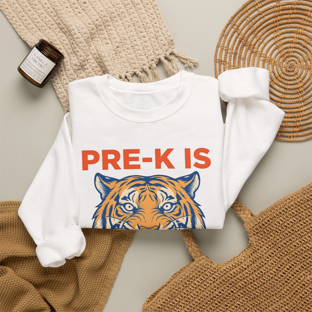 Tiger Head Teachers Classroom Gift Modern Tiger Educator Enthusiast Sweatshirt