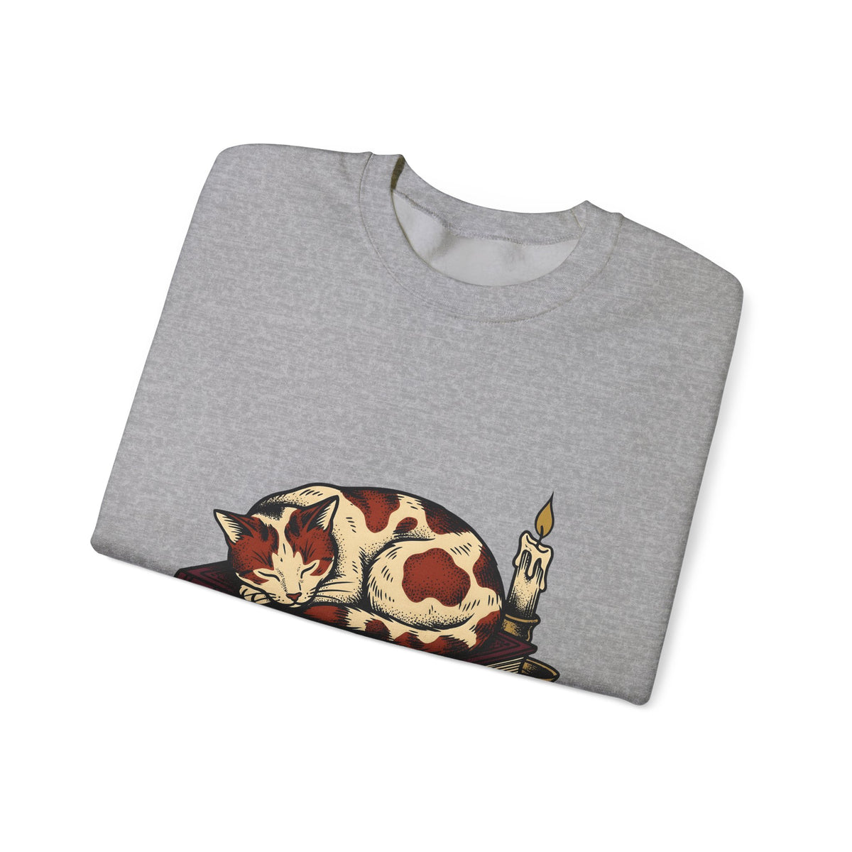 Dozing Cat Cat Pages Gift Old Fashioned Kitten Cat Fan Vintage Book Ink Stories Sweatshirt